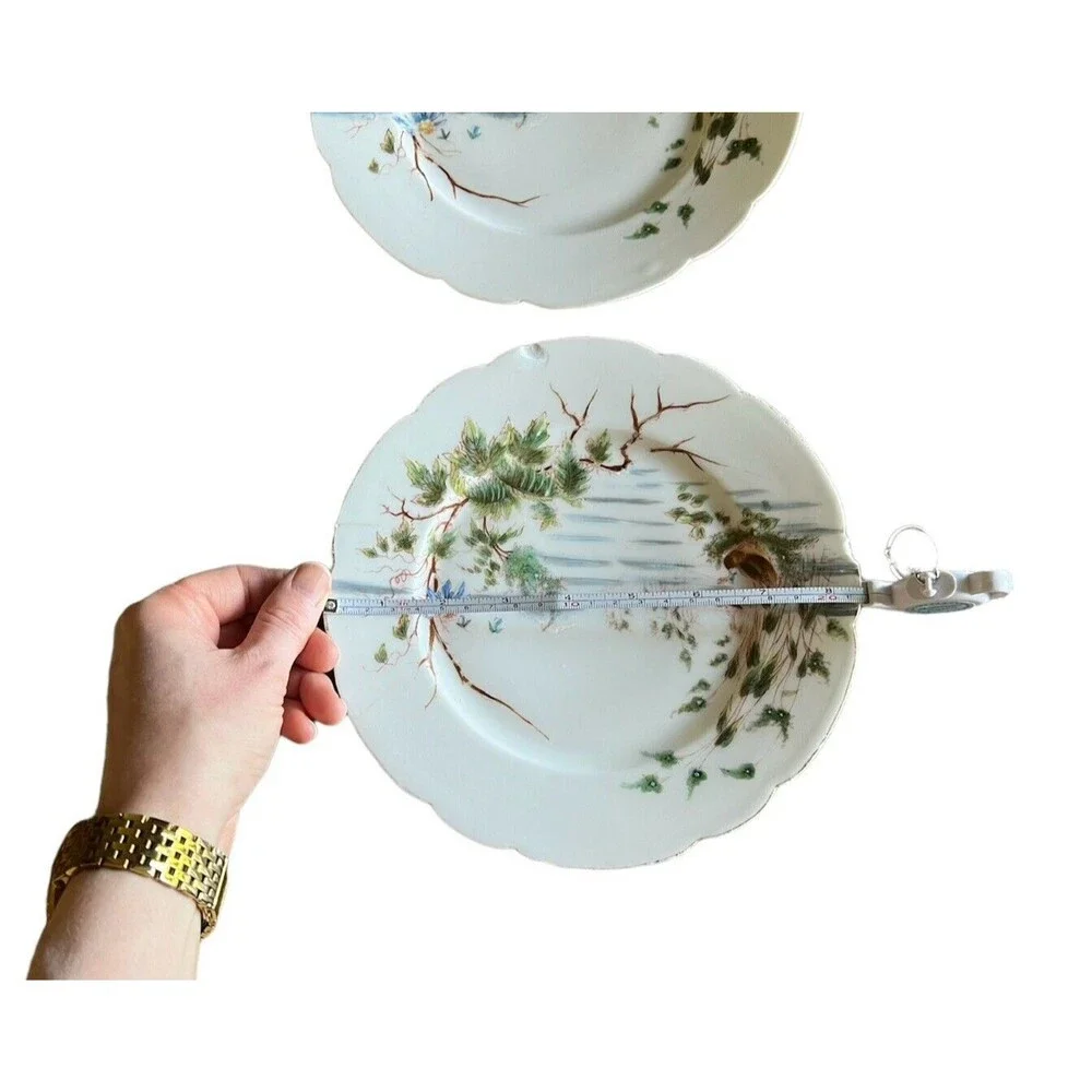 Charles Field Haviland Salad Plates 8 1/2” (Set of 2)